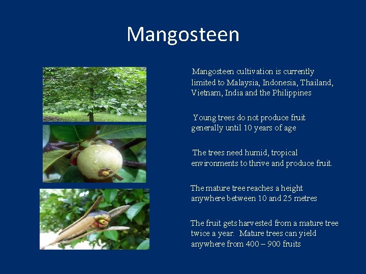 Mangosteen cultivation is currently limited to Malaysia, Indonesia, Thailand, Vietnam, India and the Philippines