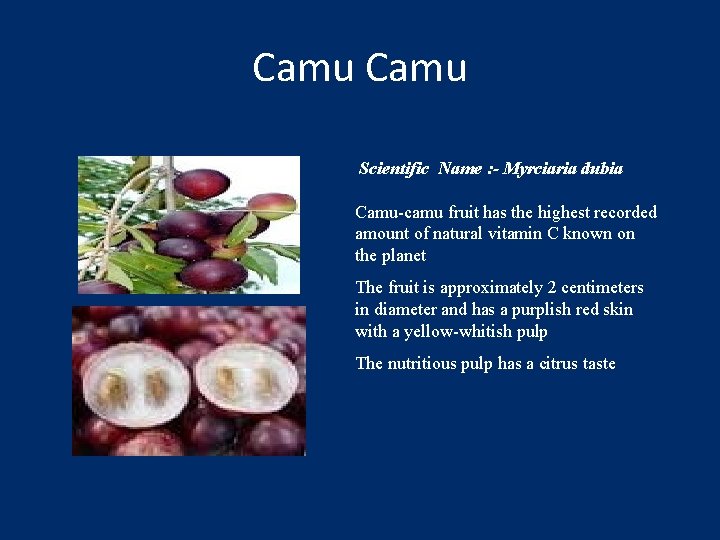 Camu Scientific Name : - Myrciaria dubia Camu-camu fruit has the highest recorded amount