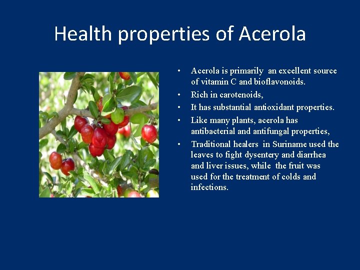 Health properties of Acerola • • • Acerola is primarily an excellent source of