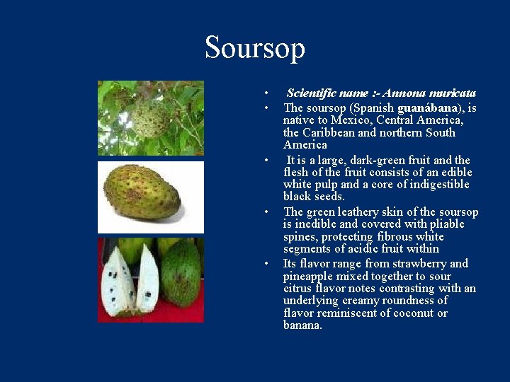 Soursop • • • Scientific name : - Annona muricata The soursop (Spanish guanábana),