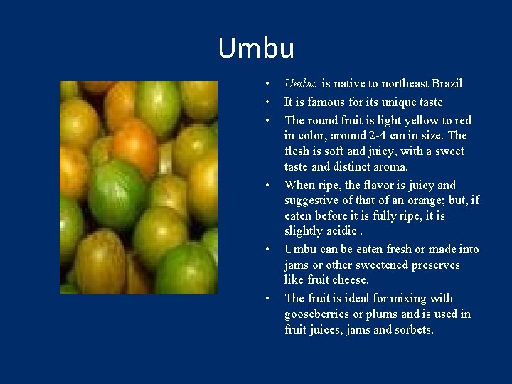 Umbu • • • Umbu is native to northeast Brazil It is famous for