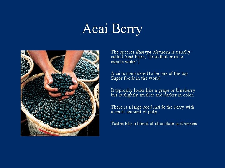 Acai Berry The species Euterpe oleracea is usually called Açaí Palm, '[fruit that cries