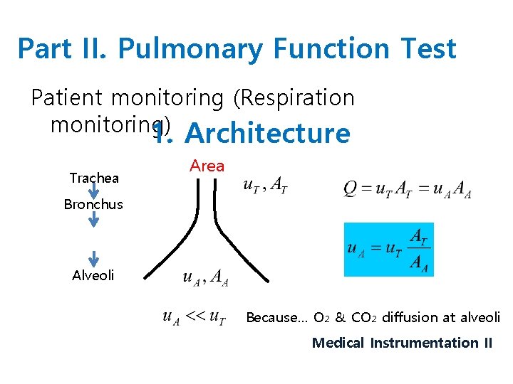 Part II. Pulmonary Function Test Patient monitoring (Respiration monitoring) 1. Architecture Trachea Area Bronchus