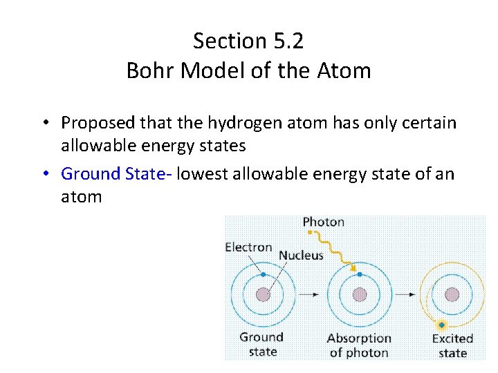 Section 5. 2 Bohr Model of the Atom • Proposed that the hydrogen atom