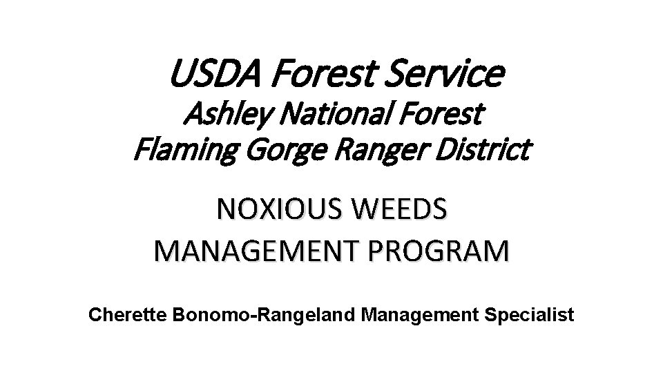 USDA Forest Service Ashley National Forest Flaming Gorge Ranger District NOXIOUS WEEDS MANAGEMENT PROGRAM