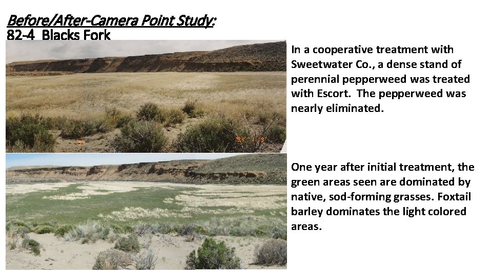 Before/After-Camera Point Study: 82 -4 Blacks Fork In a cooperative treatment with Sweetwater Co.