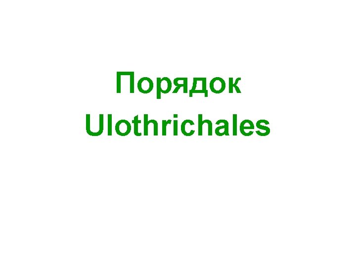 Порядок Ulothrichales 