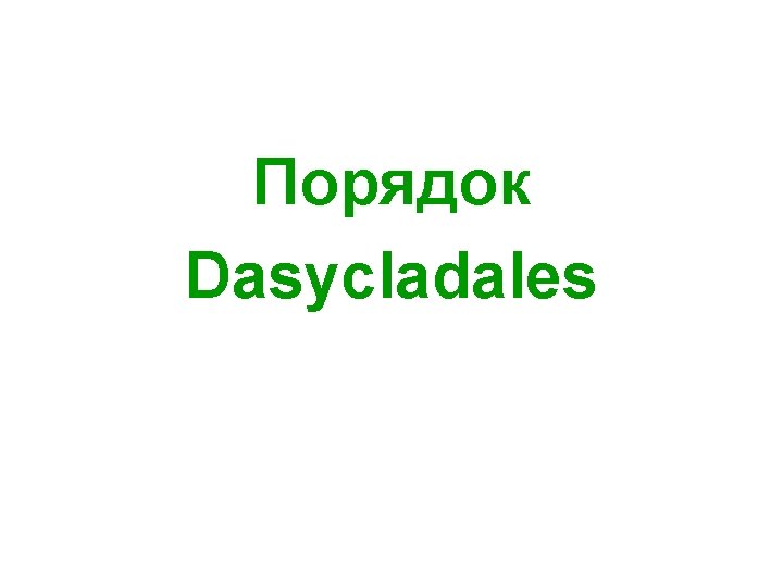 Порядок Dasycladales 