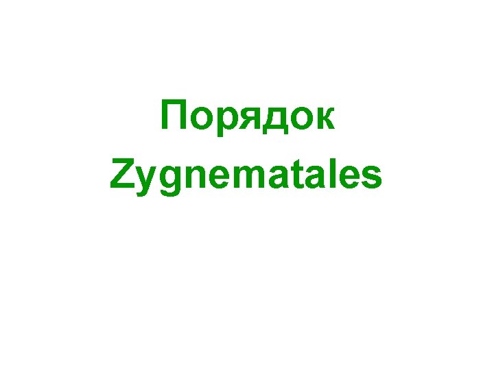 Порядок Zygnematales 