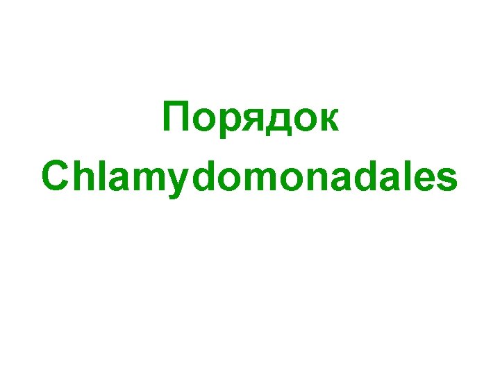 Порядок Chlamydomonadales 