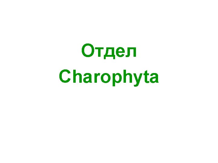 Отдел Charophyta 