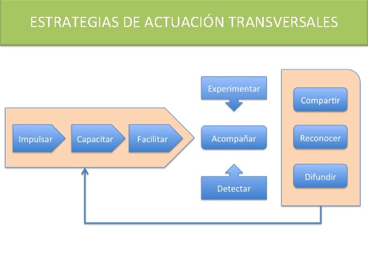 ESTRATEGIAS DE ACTUACIÓN TRANSVERSALES 