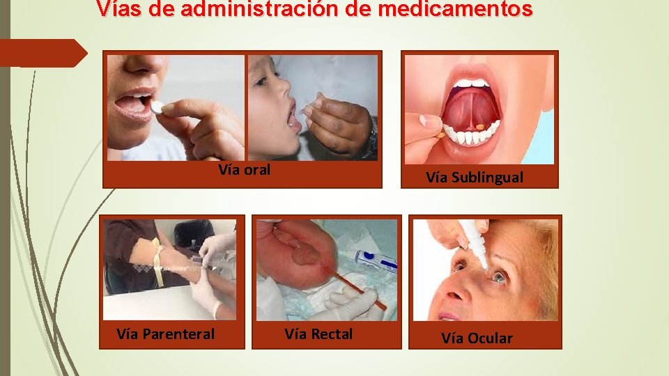 Vías de administración de medicamentos Vía oral Vía Parenteral Vía Sublingual Vía Rectal Vía