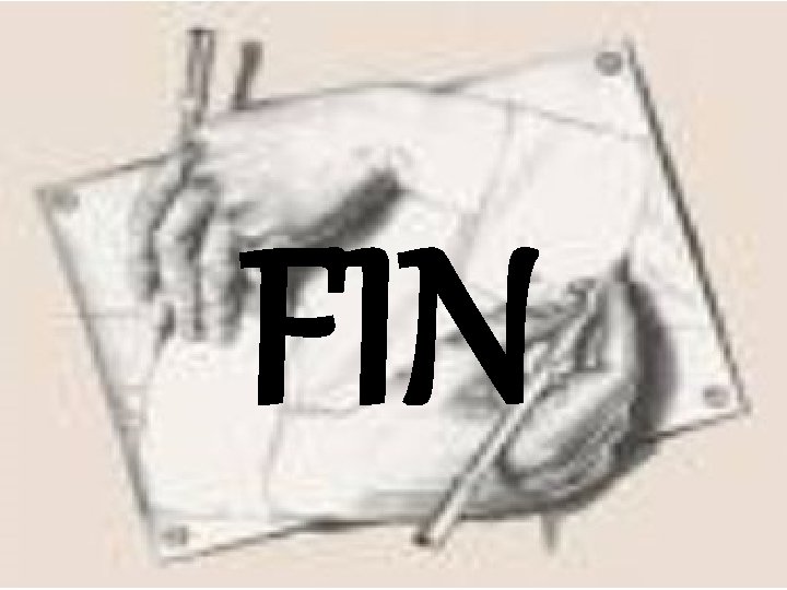FIN 