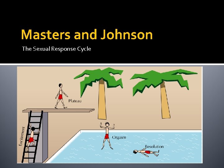 Masters and Johnson The Sexual Response Cycle 