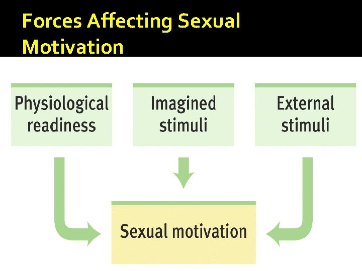 Forces Affecting Sexual Motivation 