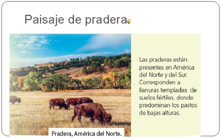 Paisaje de pradera 