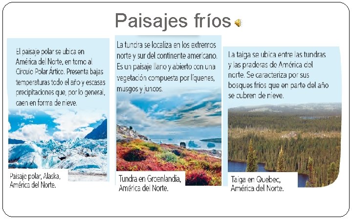 Paisajes fríos 