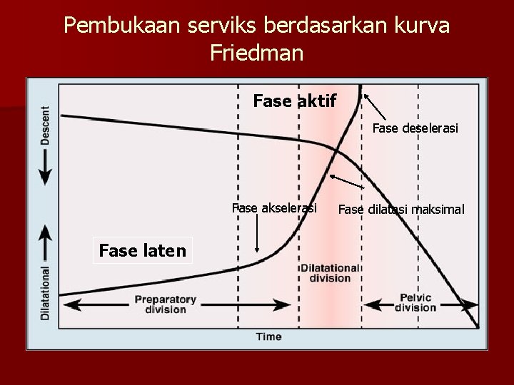 Pembukaan serviks berdasarkan kurva Friedman Fase aktif Fase deselerasi Fase akselerasi Fase laten Fase