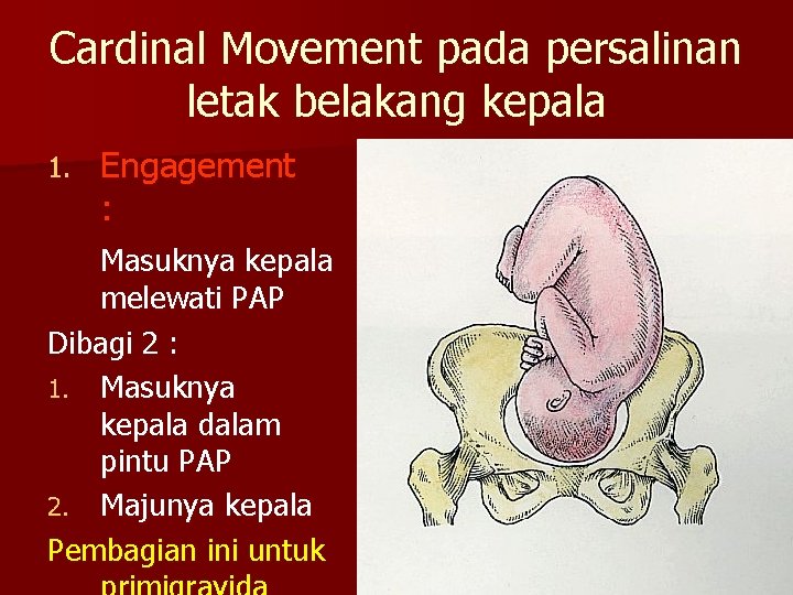 Cardinal Movement pada persalinan letak belakang kepala 1. Engagement : Masuknya kepala melewati PAP
