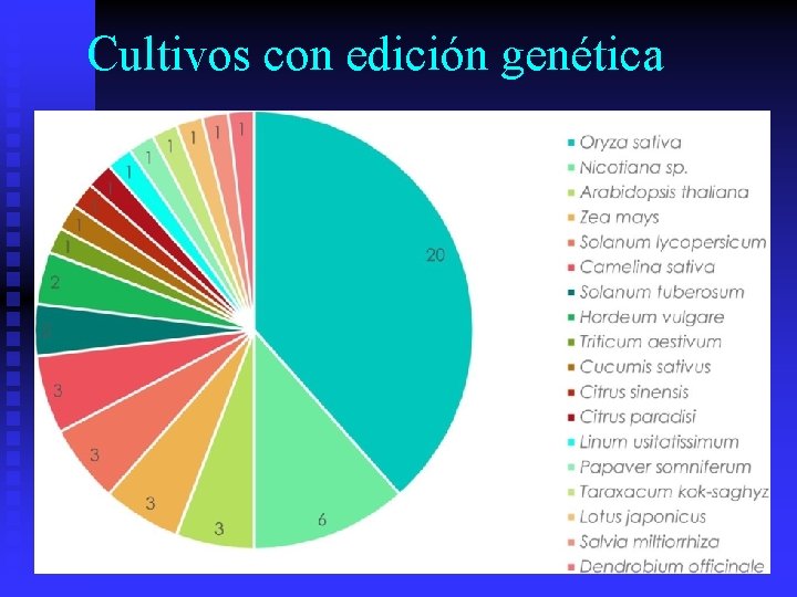 Cultivos con edición genética 