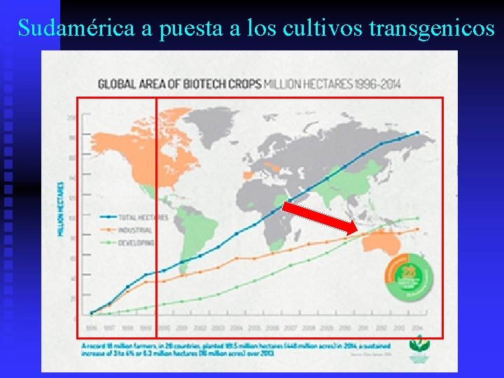 Sudamérica a puesta a los cultivos transgenicos 