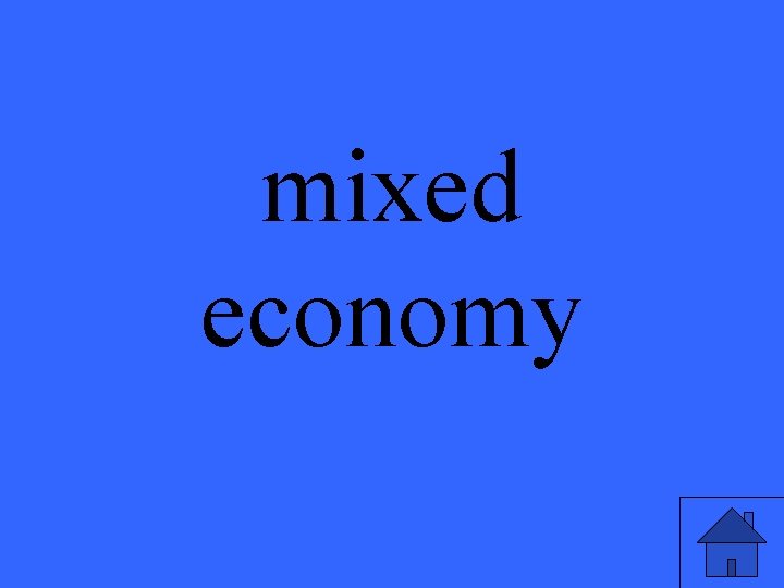 mixed economy 