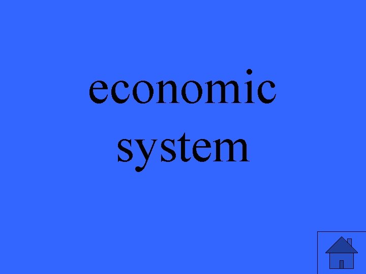 economic system 