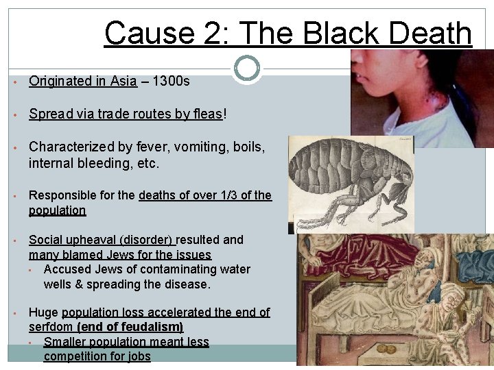 Cause 2: The Black Death • Originated in Asia – 1300 s • Spread