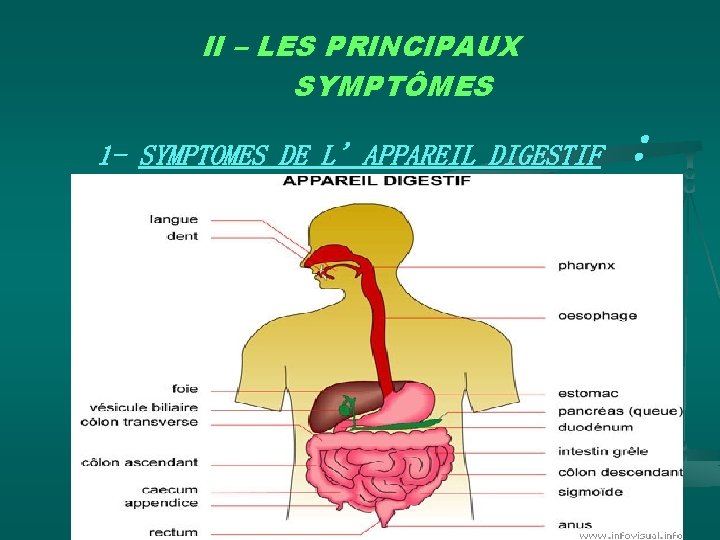 1 Objectifs Pedagogiques Et N Ts I P