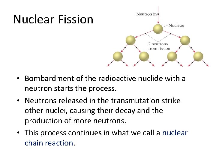 Nuclear Fission • Bombardment of the radioactive nuclide with a neutron starts the process.
