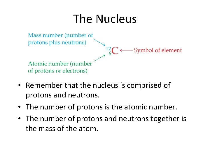 The Nucleus • Remember that the nucleus is comprised of protons and neutrons. •