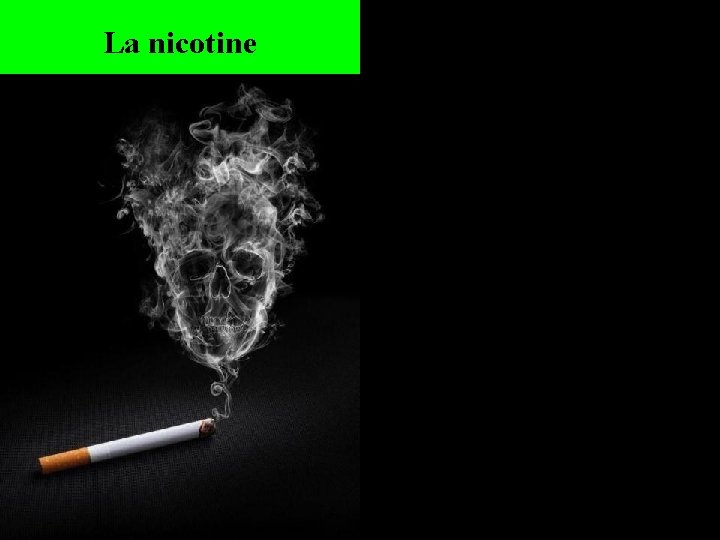 La nicotine 