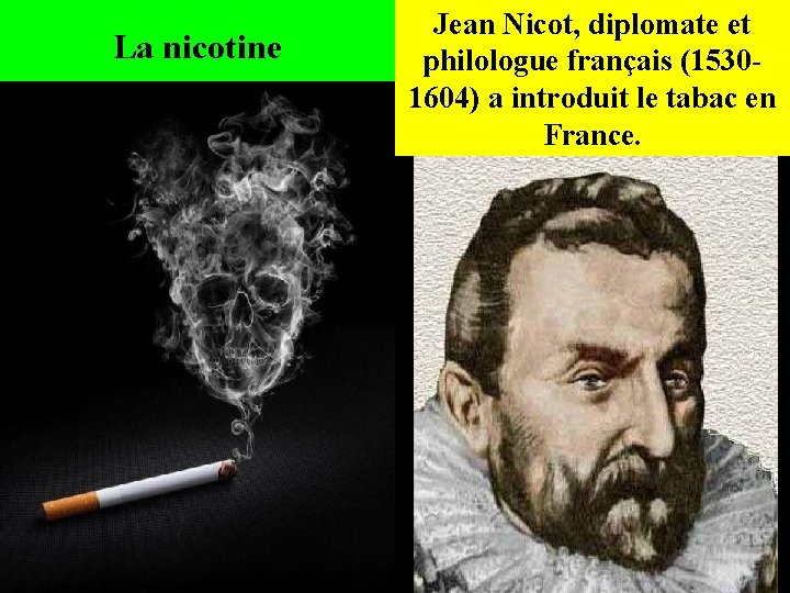 La nicotine Jean Nicot, diplomate et philologue français (15301604) a introduit le tabac en