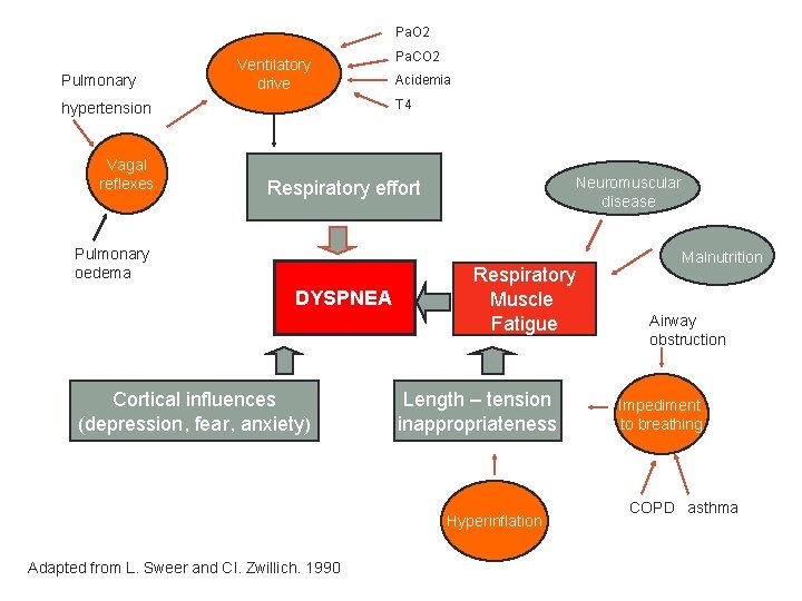 Pa. O 2 Pulmonary Ventilatory drive Acidemia T 4 hypertension Vagal reflexes Pa. CO