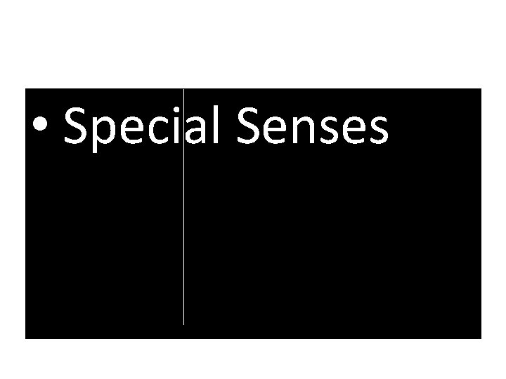  • Special Senses 