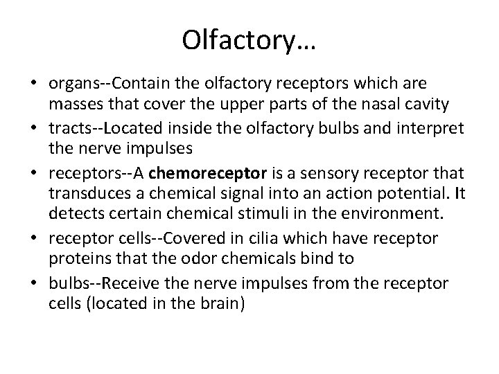 Olfactory… • organs--Contain the olfactory receptors which are masses that cover the upper parts