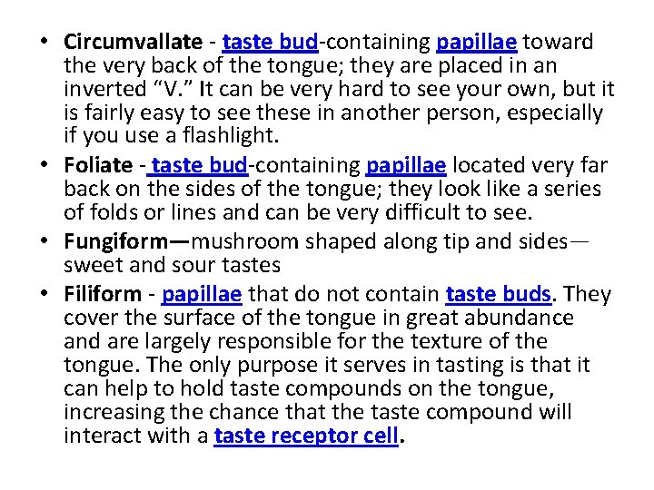  • Circumvallate - taste bud-containing papillae toward the very back of the tongue;