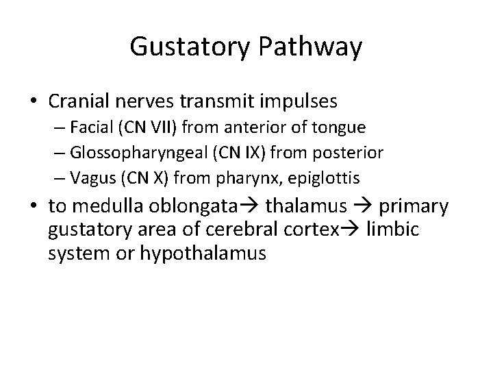 Gustatory Pathway • Cranial nerves transmit impulses – Facial (CN VII) from anterior of