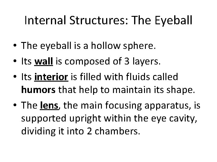 Internal Structures: The Eyeball • The eyeball is a hollow sphere. • Its wall
