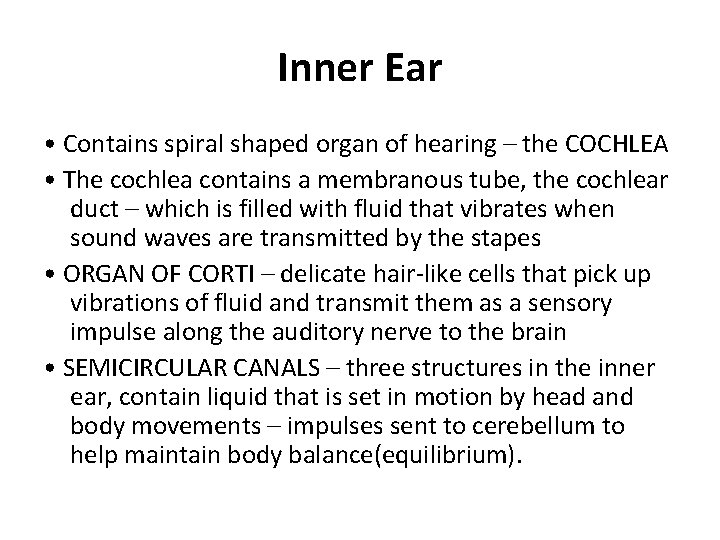 Inner Ear • Contains spiral shaped organ of hearing – the COCHLEA • The