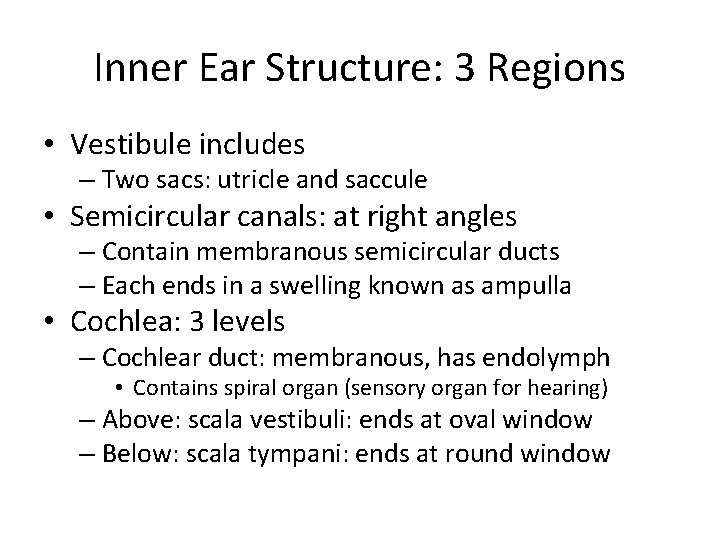 Inner Ear Structure: 3 Regions • Vestibule includes – Two sacs: utricle and saccule