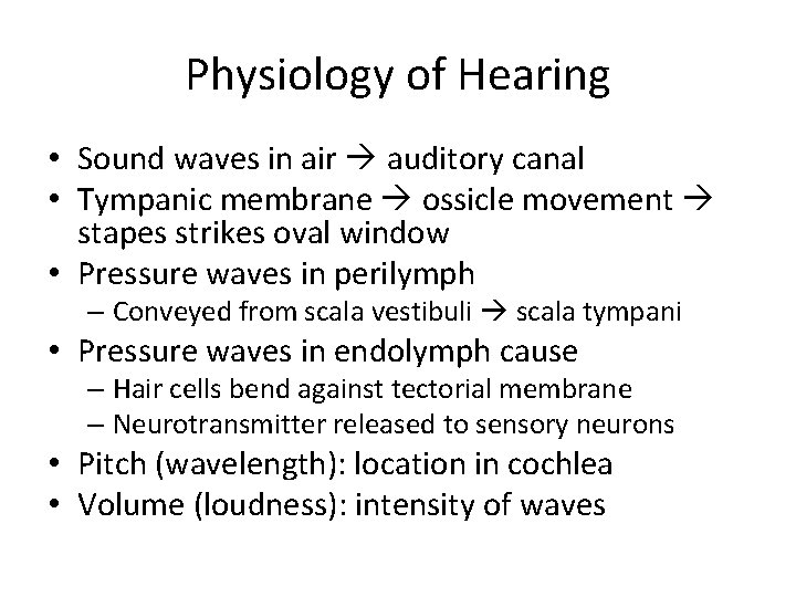 Physiology of Hearing • Sound waves in air auditory canal • Tympanic membrane ossicle