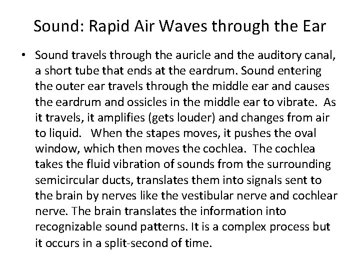 Sound: Rapid Air Waves through the Ear • Sound travels through the auricle and