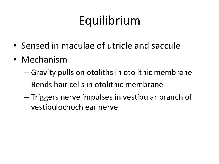 Equilibrium • Sensed in maculae of utricle and saccule • Mechanism – Gravity pulls