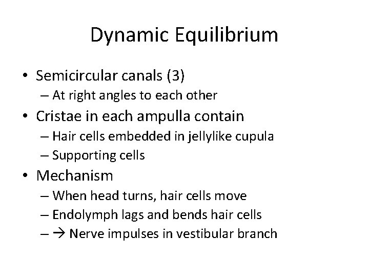 Dynamic Equilibrium • Semicircular canals (3) – At right angles to each other •