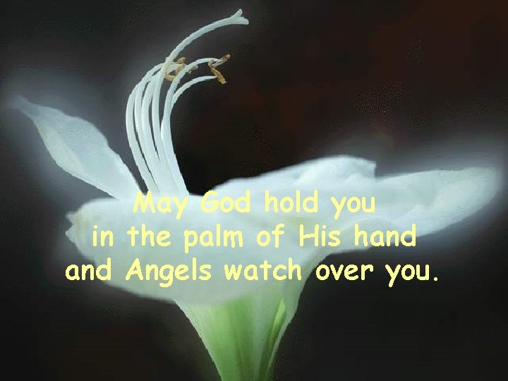 May God hold you in the palm of His hand Angels watch over you.