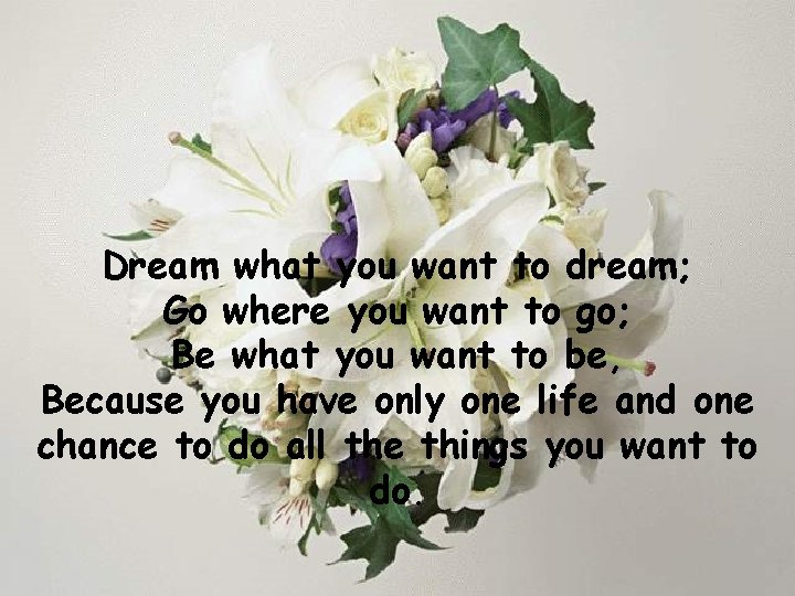 Dream what you want to dream; Go where you want to go; Be what