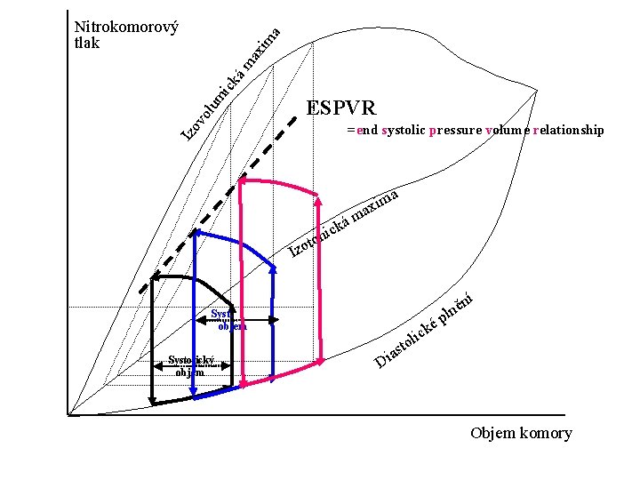 ESPVR =end systolic pressure volume relationship Izo vo lu mi ck ám ax im