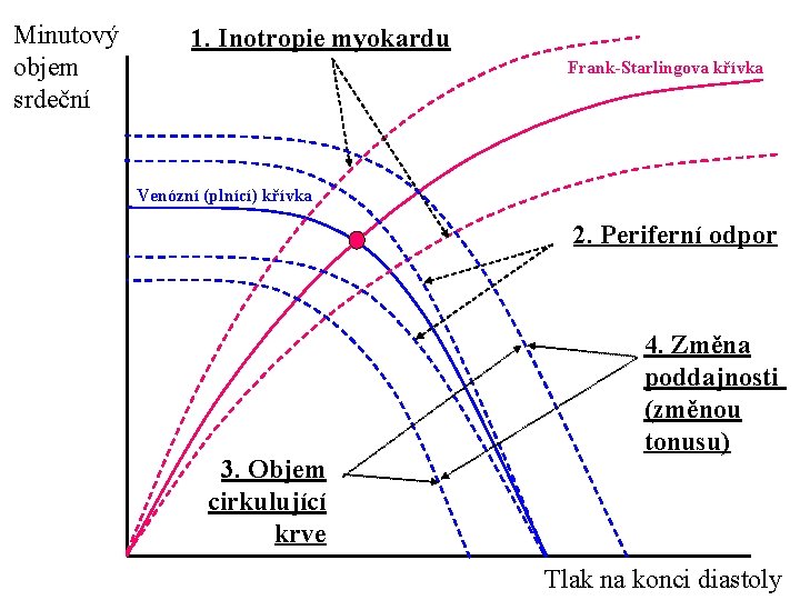 Minutový objem srdeční 1. Inotropie myokardu Frank-Starlingova křívka Venózní (plnící) křívka 2. Periferní odpor